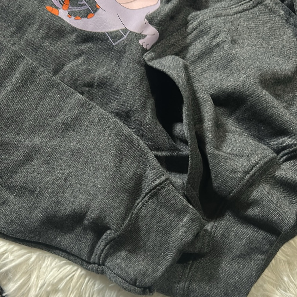 Disney Epcot Pullover Hoodie with Figment Graphic Charcoal Gray Kids Size Large - Picture 8 of 11